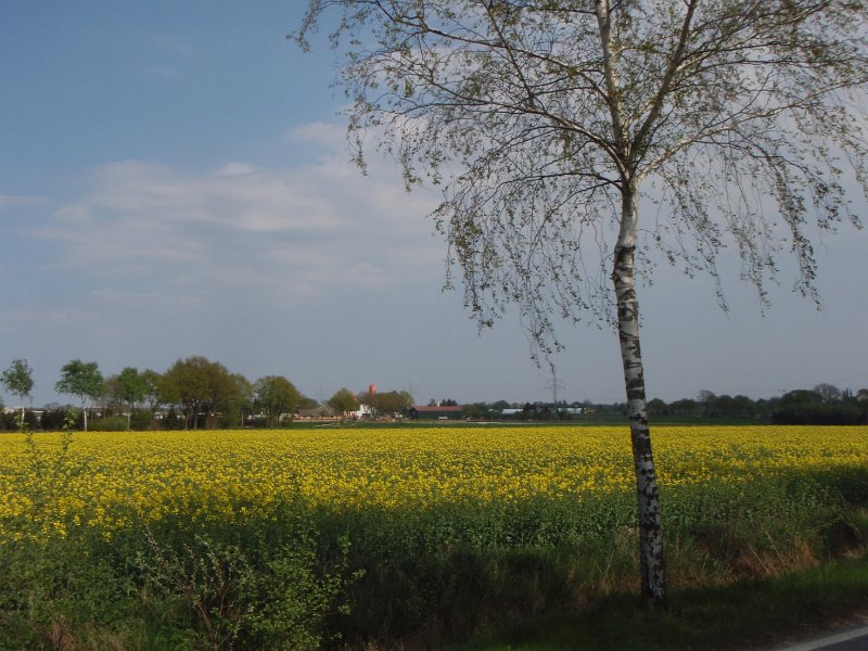 RTF Celle HN 209
